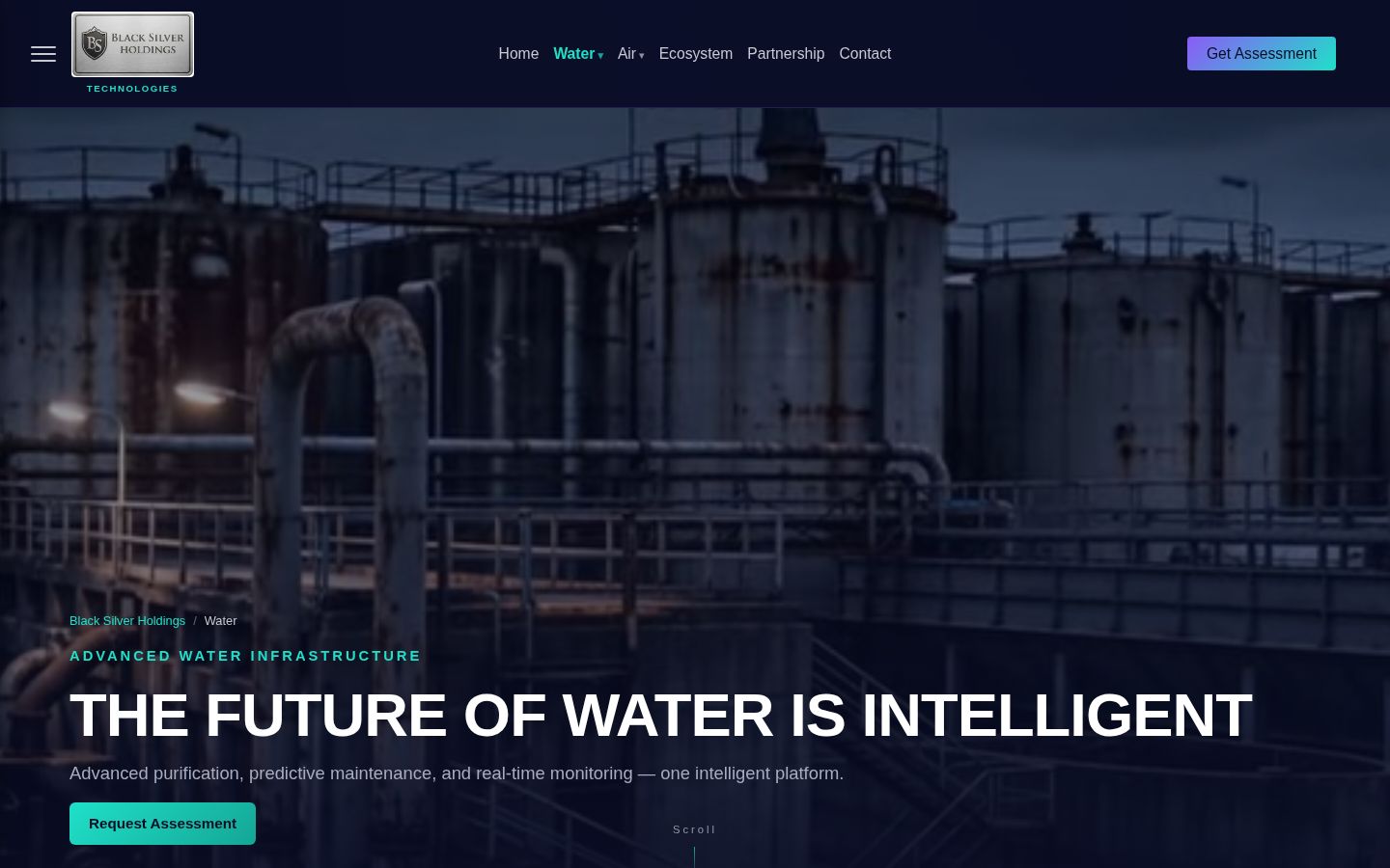 Black Silver Holdings website